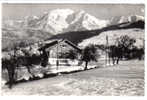 74 CPA N°1 459 COMBLOUX Vue Sur Le Mont Blanc - Combloux