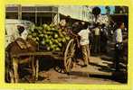 Coconut Cart, Downtown Port Of Spain, Trinidad, W.I.  1960s - Trinidad