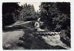 Ref 164 - SAINT-FERREOL - Les Cascades Du Parc - Carte Grand Format De 1962 - Saint Ferreol