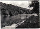 Carte Postale 56. La Roche-Bernard  Etang Du Rodoir Trés Beau Plan - La Roche-Bernard