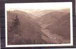 Feldberg Blick Ins Wiesental - Feldberg