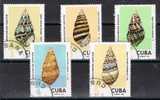 Cuba, Conchas Marinas, Caracolas, Año 1973 - Muscheln