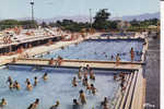 LE LUC La Piscine Olympique - Le Luc