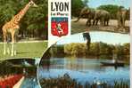 CARTE POSTALE DE LYON - PARC DE LA TETE D OR - ELEPHANTS - GIRAFE - Elephants