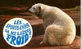 CARTE POSTALE - ANIMAUX HUMORISTIQUES  - L OURS BLANC - Ours