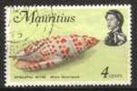 Mauritius - 1969 Definitive 4c Mitre Used - Conchas