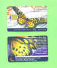 HUNGARY - Chip Phonecard/Butterfly Or Moth - Hungary