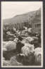 Faroe Islands Seydur á Rætt Herd Of Sheep Mint Real Photo Postcard - Faroe Islands