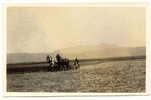 AGRICULTURE : -1 (RPPC) With 2 Horses - Cultivation