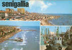 9622 - SENIGALLIA - Cartolina Mai Viaggiata - Senigallia