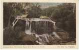 Weeping Rock, Wentworth Falls, Blue Mountains, New South Wales Australia, On C1910 Vintage Postcard - Non Classés