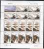 2007 CHINA TENGCHONG GEOTHERMAL VOLCANOES F-SHEET - Volcanes