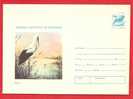 ROMANIA 1977 Postal Stationery Cover Stork - Picotenazas & Aves Zancudas