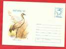 ROMANIA 1993 Postal Stationery Cover . Crane - Picotenazas & Aves Zancudas