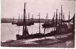 62 - Etaples Sur Mer - Le Port (bateaux) - Etaples