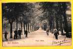 * Bad Nauheim (Hessen - Deutschland - Germany) * (Frankfurter Kunstverlag) Park Allee, Enfants, Arbres, Old, Top - Bad Nauheim