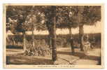 Mortagne-au-Perche (61) : Jardin Public Environ 1930. - Mortagne Au Perche