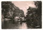 Vieux-Boucau (40) : Partie De Canoé Sur Le Courant Environ 1950 (animée). - Vieux Boucau