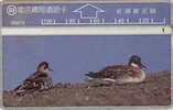 # TAIWAN D5012 Bird 100 Landis&gyr -birds,oiseaux-   Tres Bon Etat - Taiwan (Formosa)