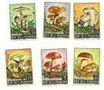 1967 - 743/48 Funghi     +++++++ - Unused Stamps