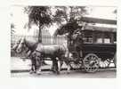 PARIS 1900 -  Le MADELEINE BASTILLE  - N° 32   - Carte Moderne Glacée - Transporte Público