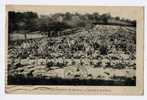 Cpa SAINTE MENEHOULD Marne CIMETIERE MILITAIRE N°80 - Cementerios De Los Caídos De Guerra