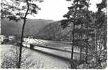 UNIEUX Loire 42 : Environs De Saint Etienne & Firminy : Pont Suspendu Sur La Loire Au PERTUISET - Firminy