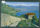 DISTRICT DE LAVAUX ///  CHATEAU DE GLEROLLES PRES RIVAZ   - TB - Rivaz