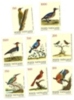 1989 - 862/69 Uccelli   ++++++++ - Unused Stamps