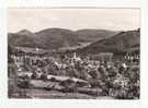 LAHR  -  Schwarzwald Mit Ruine Hoben Geroldseck  - N°   1421 / 93 - Lahr