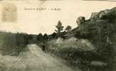 Environs De Poligny Les Rochers Edition Burnom Phototypie Desaix Garcon Enfant 1918 - Poligny