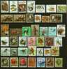 Varieties, Australia, Lot, X41 - Collections