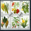 1992 - VATICANO - VATIKAN - Sass. 936/941 - Flora Del Nuovo Mondo - MNH - Stamps Mint - Neufs