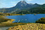 Lac De SERRE PONCON (Hautes-Alpes) - La Baie Saint-Michel / Le Grand Morgon  - Troupeau De Moutons Au 1er  Plan - Embrun