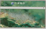 # TAIWAN 7066 Aquatic Scene 100 Landis&gyr   Tres Bon Etat - Taiwan (Formose)