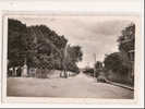 17 - MONTENDRE - AVENUE DE LA REPUBLIQUE  - CPSM DENTELEE - 1962 - Montendre