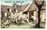 *865* Toute La Famille - Bauernhöfe