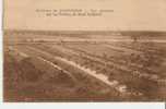 CpF2389 - Environs De PONTORSON - Vue Générale Sur Les Polders Du Mont St Michel - (50 - Manche) - Pontorson