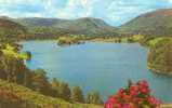 Britain United Kingdom - Grasmere 1970s Postcard [P651] - Grasmere