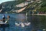 AIN-NANTUA LE LAC ET LES CYGNES-MB - Nantua