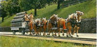 Suisse:Très Belle Carte Représentant Un Char Tiré Par 6 Chevaux.Brasserie Feldschlosschen. - Autres & Non Classés