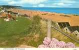 Britain United Kingdom - Cliffs And Beach, Old Felixstowe Postcard [P679] - Altri & Non Classificati