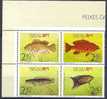 1990 MACAO 611-14** Poissons - Nuevos