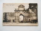 Italia - FAENZA - Pota Imolese  -   Ca 1910-20 -   F  D63604 - Faenza