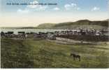 Fox River, Gaspe, Quebec Canada, Riviere Au Renard View Of Town From Hill, On C1910s Vintage Postcard - Gaspé