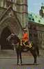 Gendarmerie Royale Canada - Police Montée - Mounted Police - Cheval Horse - Non Circulée - Police - Gendarmerie