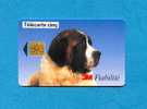 ( 2840 ) -  3M  SAINT - BERNARD  -  (  Gn161  )  -  Neuve  -  ***  LUXE *** -  Voir Scan - - 5 Units