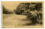 Forêt De Soignes - Etang Du Haesendael - Edition Du Foyer Des Orphelins - Bosques, Parques, Jardines