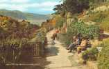 Britain United Kingdom - Haulfre Gardens, Llandudno Postcard [P710] - Caernarvonshire