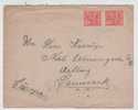 Brazil Cover Sent To Denmark 1924 - Lettres & Documents